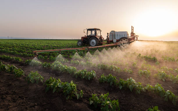 Best Commercial Pest Control Services  in Eidson Road, TX