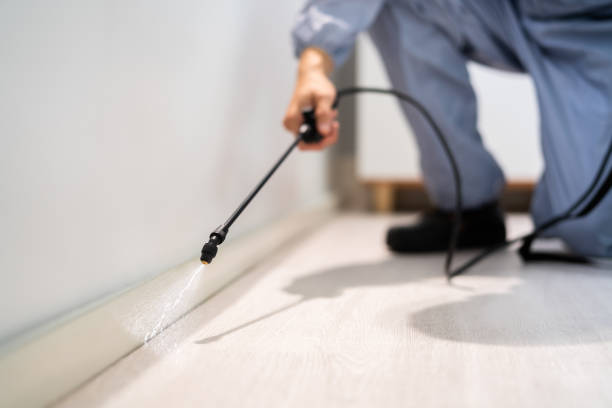 Best Pest Prevention Services  in Eidson Road, TX