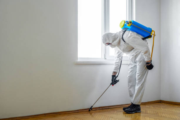 Insect Control in Eidson Road, TX