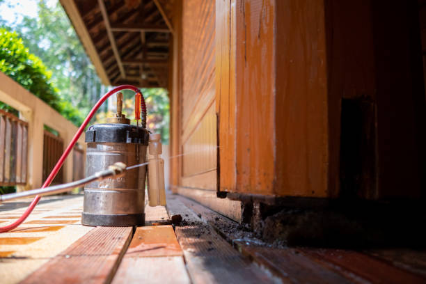 Best Ant Control Services  in Eidson Road, TX
