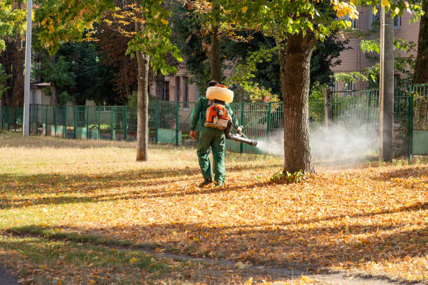Insect Control in Eidson Road, TX