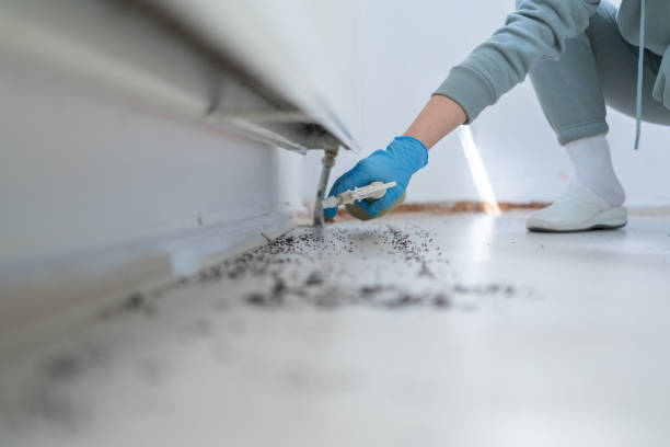 Best Best Pest Control Companies  in Eidson Road, TX